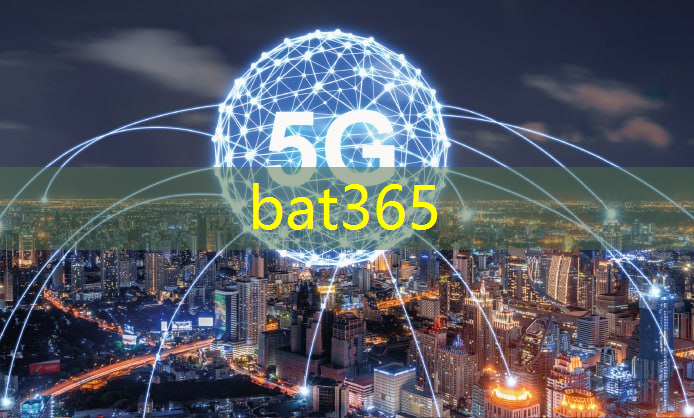 bat365在线登录网站：关于智慧城市建设情况汇报